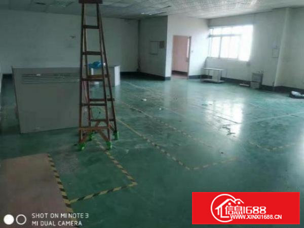 清溪荔横村原房东，二楼厂房无公摊面积500平