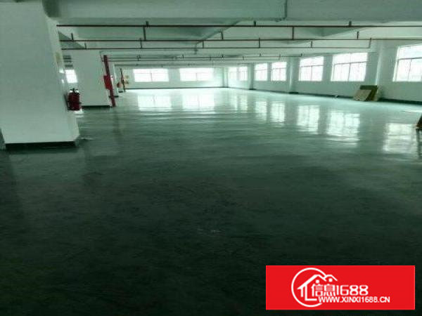 仅需13块！原房东自有厂房厦边村楼上整层1400平