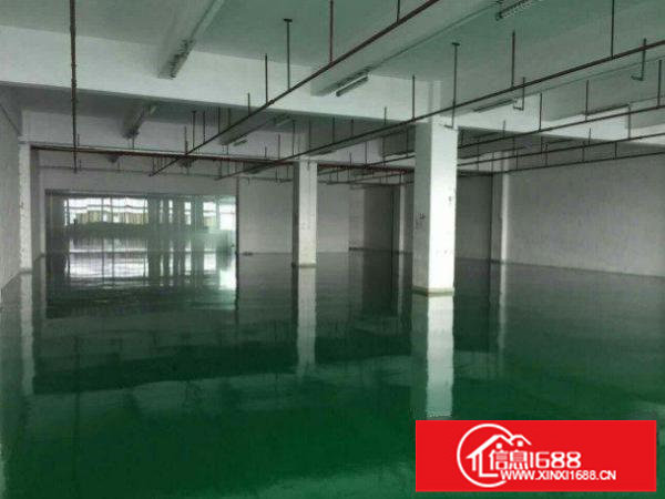 横岗茂兴路标准一楼700平米招租带精装修地坪漆