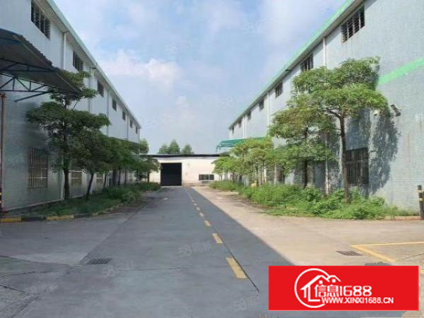 万江20000平米大空地绿化独院单一层厂房