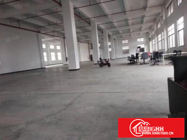 东莞石排新出原房东独院厂房分租一楼2300平方出租