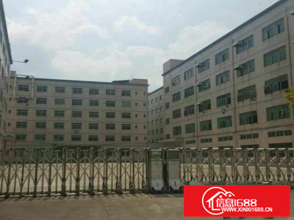 龙岗南联原房东一二楼3000平米，厂房急租