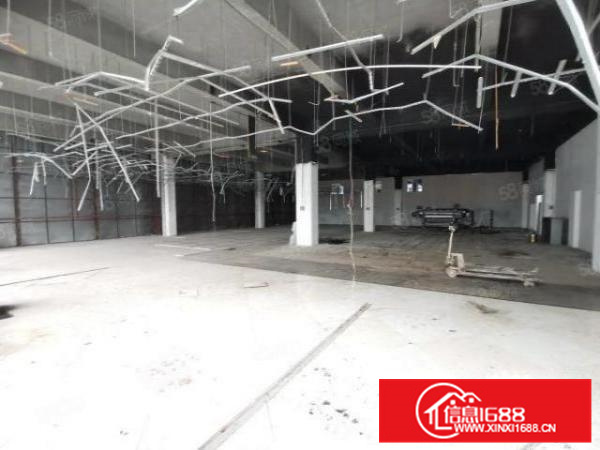 碧江工业区国有标准厂房带货梯环评秒过