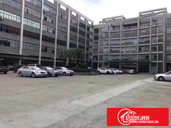 95平米起分盐田港原房东楼上10000平米适合电商办公场地