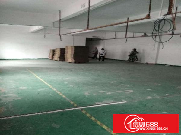 平湖新木村委附近每层885平方一二楼出租，适合蔬果配送等行业