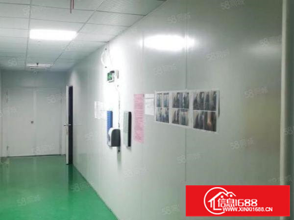 凤岗雁天南山工业区一楼标准厂房出租1000平可以分租可办环评