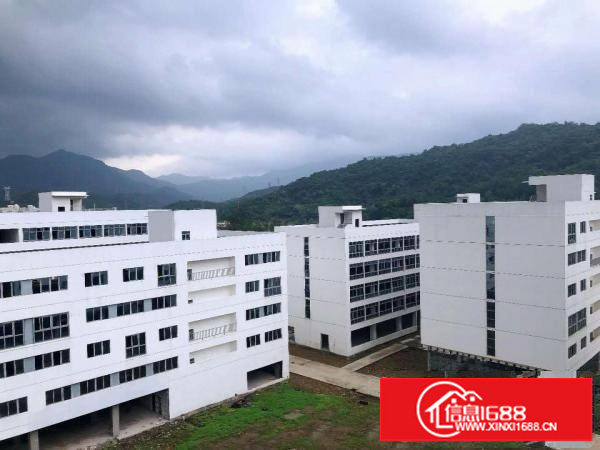 大鹏新区全鑫工业园50000平米全面招租！！