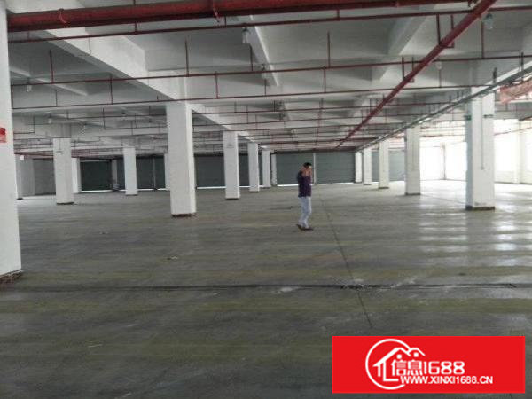 大运地铁站附近原房东独门独院厂房5800平带红本