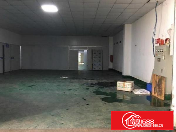 全新装修无尘车间冷机冷库全新，适合做配送食品冷藏等行业