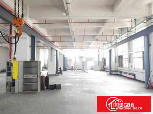 可办环评、容边工业区首层1500方、电大、可分租