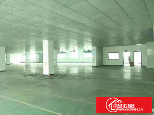 福永新和原房东625平带装修厂房出租