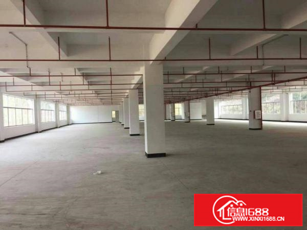 秋长独门独院2620一层空地超大可分租可做污染行业