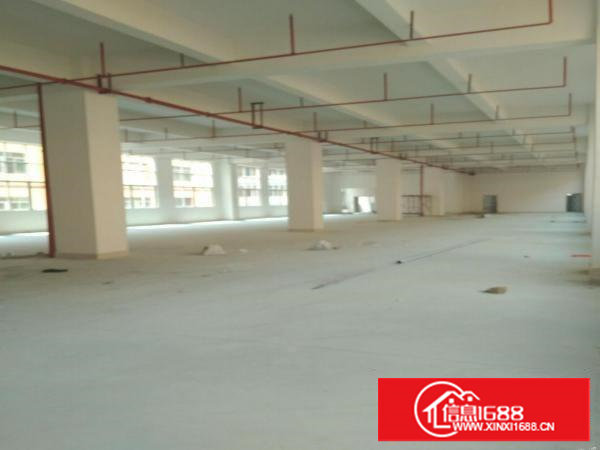 上沙客运站附近新出楼上650平重工业厂房对外出租