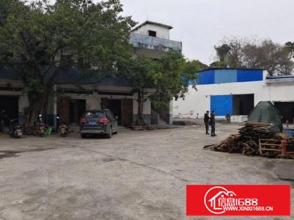 龙岗新空出620平米一楼厂房低价整租