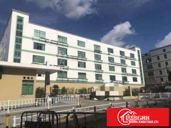 观澜原房东红本独门独院厂房21000平可签15年合同