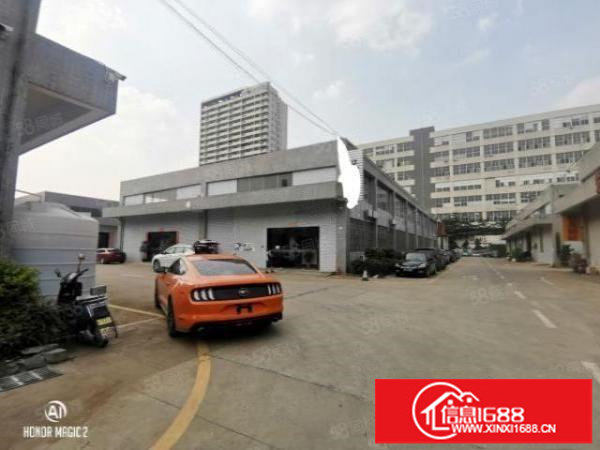 松岗107国道边新出单一层高8米厂房1300平