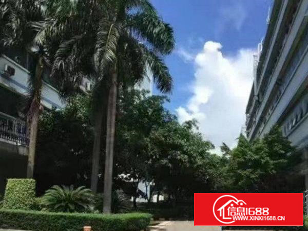 沙井沙一华丰国际智造城大型园区