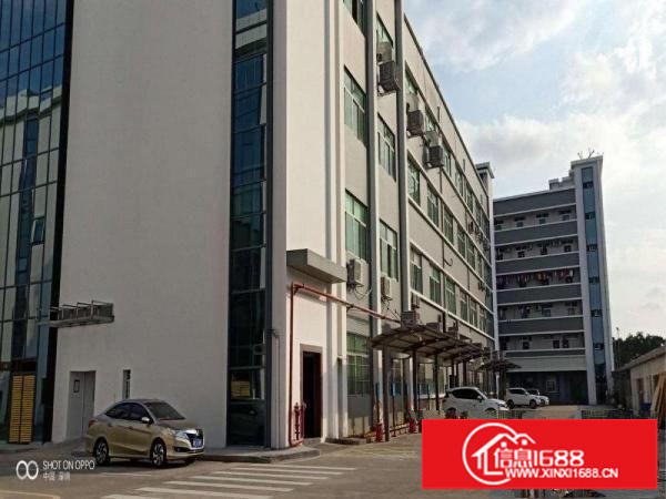 南联5.8米高一楼标准厂房出租空地大进出大车方便