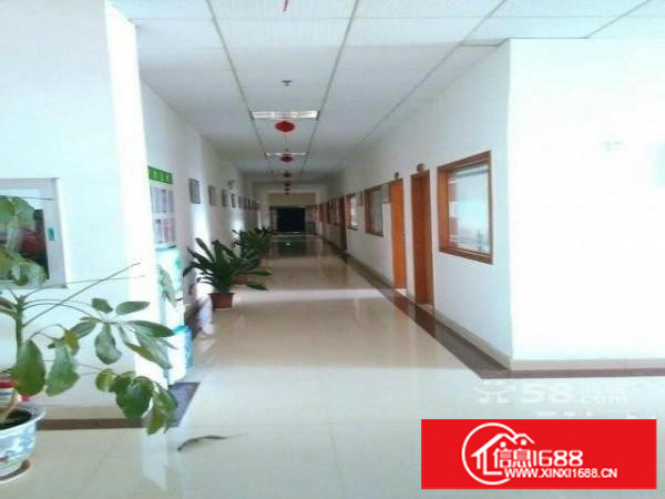 独门独院整栋4层带无尘车间厂房9500低价租可分租