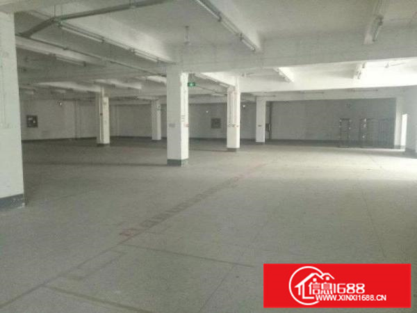 惠城区小金口独门独院5500平厂房出租