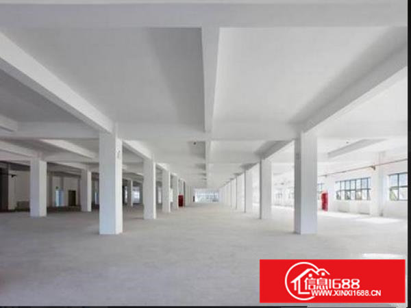 凤岗三联标准一楼2600平方厂房出租高6.5米