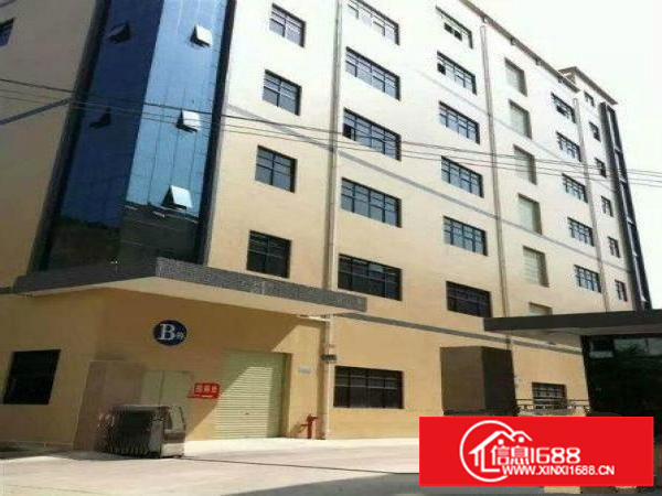 公明将石3楼350，2楼700，6楼800平米厂房