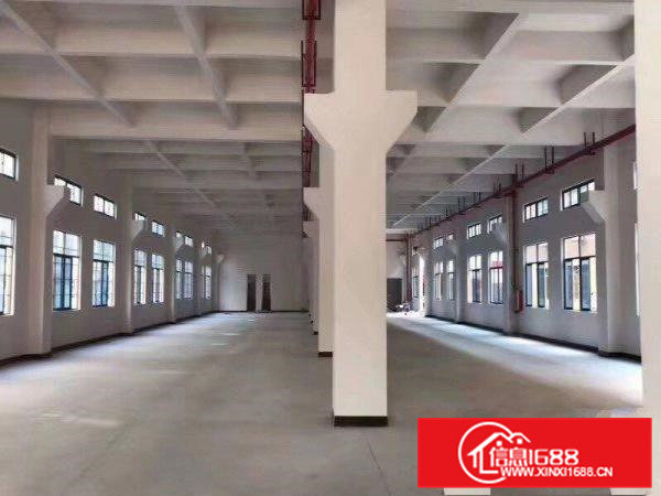 分租企石镇东平村科技路邦手科技园全新厂房