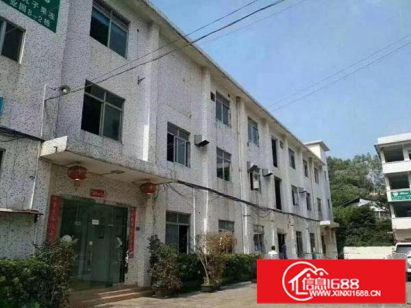 横岗六约小独院厂房3669平米，宿舍1531平米
