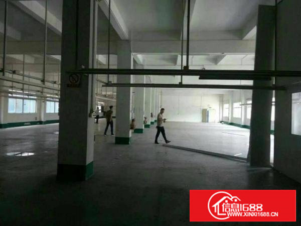 原房东标准一楼1200平厂房出租，位于塘厦龙背岭