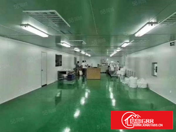 清溪新出一栋原房东无尘车间4500平医药级口罩资格证可贴牌