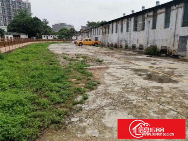 坪山坑梓秀新独栋钢构1150平滴水6米空地超大可做废品站