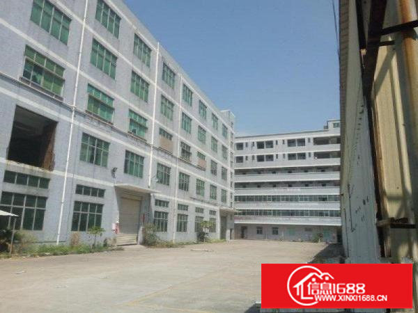 龙岗新出独院带装修5600平厂房出租可大小分租