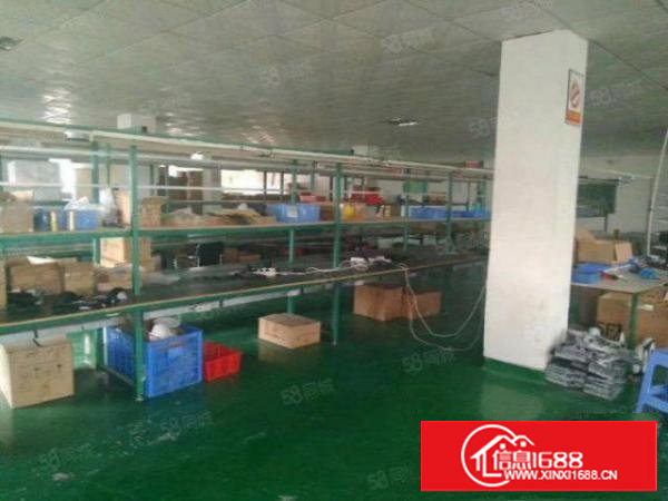 塘厦凤凰岗标准3楼800平方！实拍视频图片！电子车间免装修