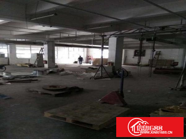 平湖良安田路口海吉星2公里处带冷库厂房出租，300平方起