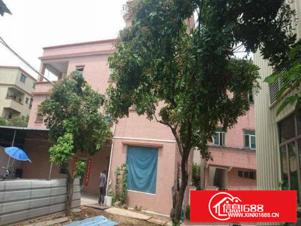 大岭山水朗原房东独院钢构2300平有宿舍办公室楼