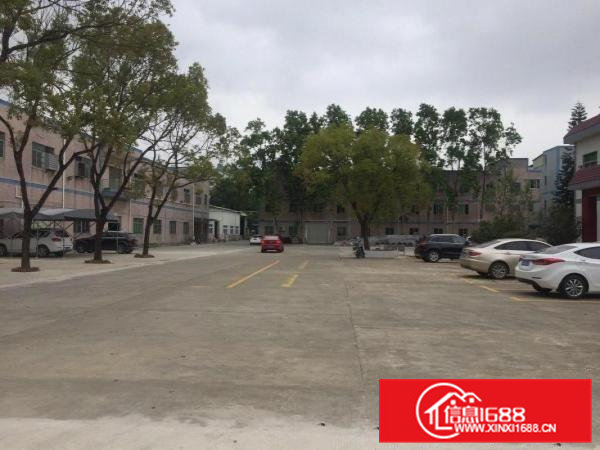 清溪镇6米高一楼1300平招租，空地超大