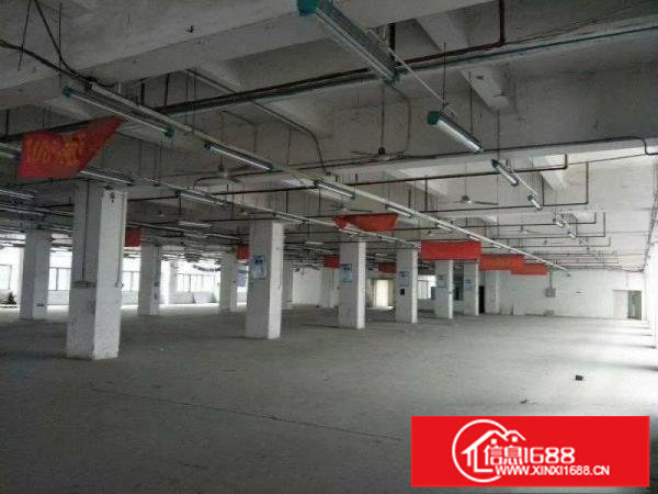 坂田新出带平台一楼1760平米厂房大小可分租