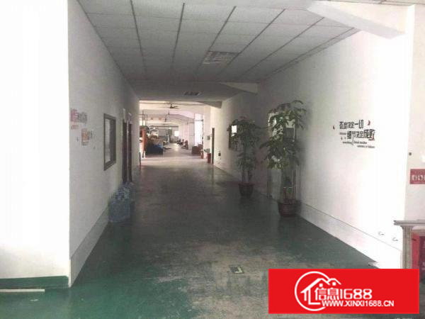 企石镇霞朗厂房出租，房东直租环境好易招工价面实惠面谈