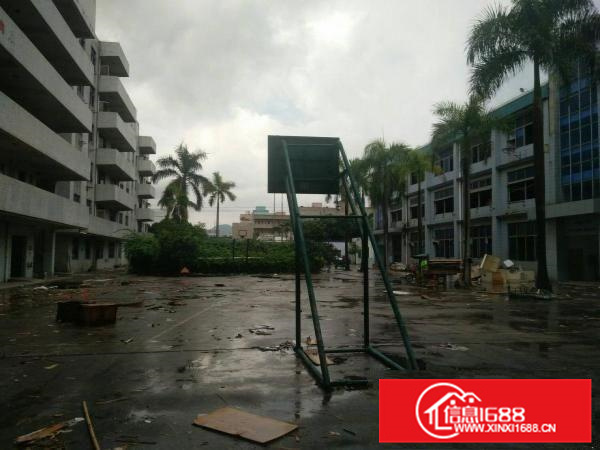 惠阳秋长原房东独院厂房14779平米可明包