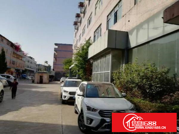 厂房出租横岗安良新出独院厂房二楼500平方装修