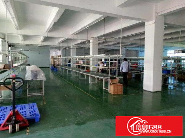 松岗107国道大田洋3路14层6800平招租