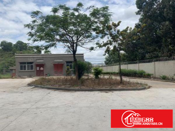 凤岗金凤凰厂房出租1000平方精装修水电齐全空地超大随意分租