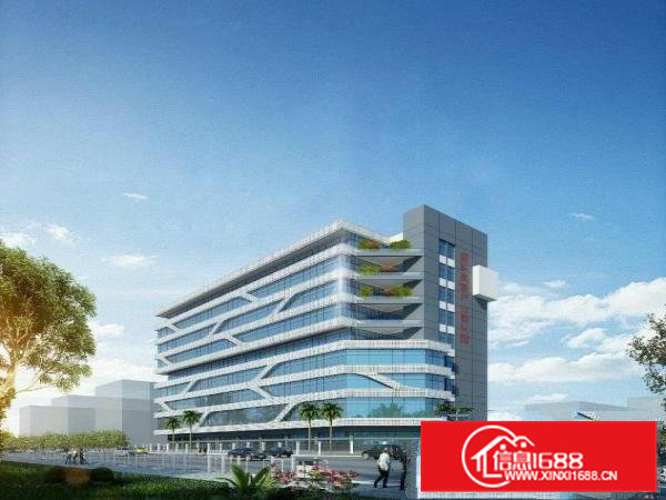 金兴路419号（鑫龙盛科产业孵化园）