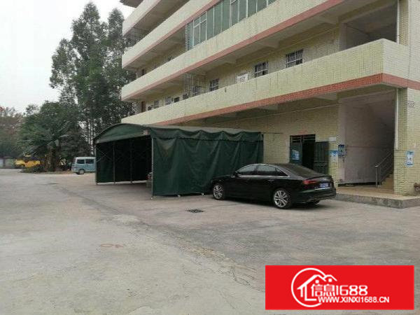 常平朗洲还剩1楼300平方