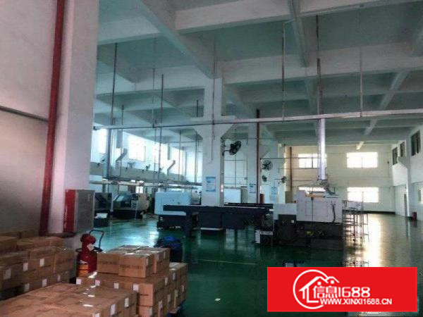 新出原房东独院4800平方证件齐全可办环评