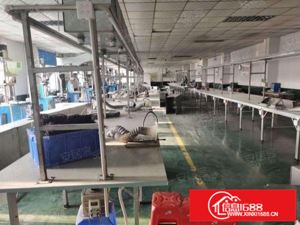 南栅五区原房东厂房分租，每层1600平方，工业用地厂房