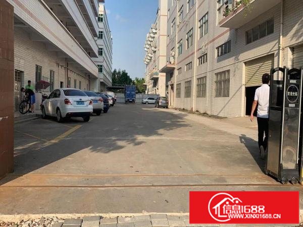 出租坪山一楼标准厂装修房带1000平实际面积出租