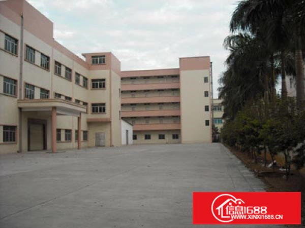 常平土塘新空出独门独院厂房三层9000平方