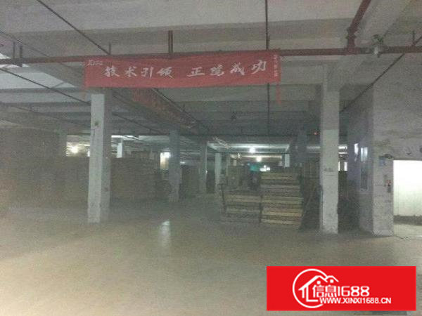 凤岗金凤凰标准厂房一楼5500平米出租6米高