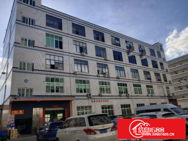 精装修无转让费横岗六约原房东红本独院厂房仓库直租整租分租